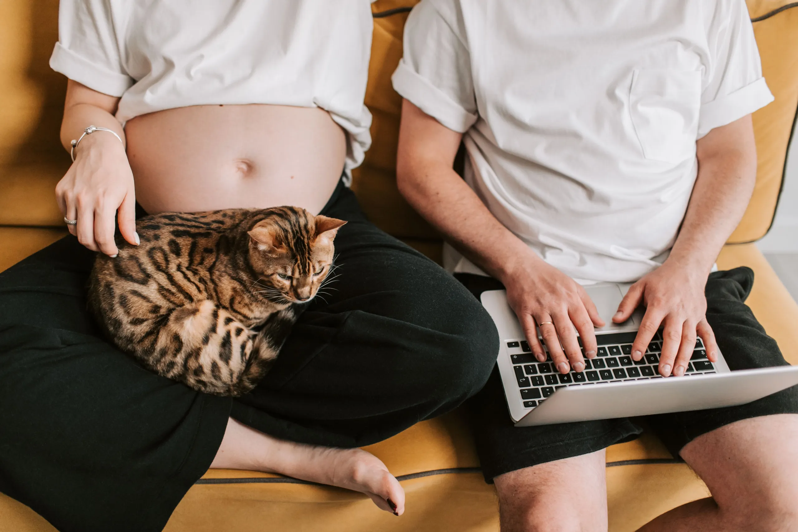 Para wygodnie siedzi razem na kanapie i korzysta z kursu na laptopie w domowym zaciszu